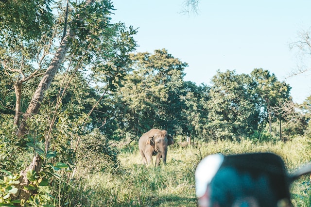 sri_lanka_2